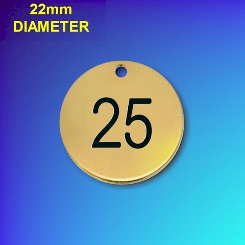 Numbered Brass Tags With Colour - 22mm